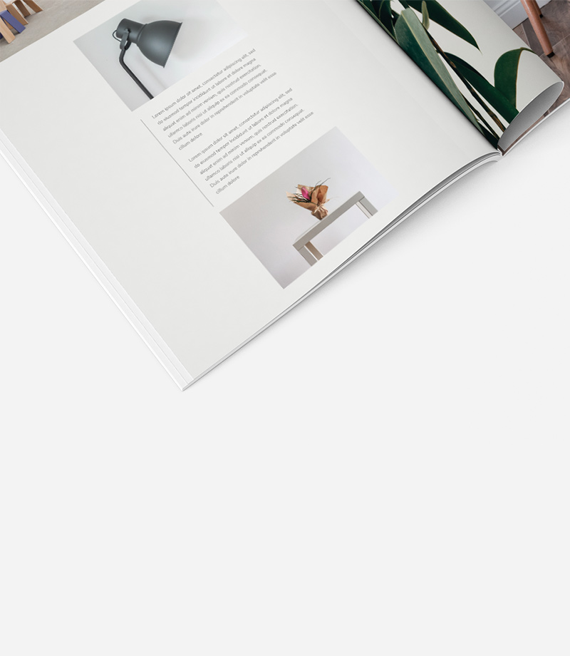 shop-1-gallery-img-2 f